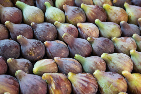 Europe, Spain, Catalonia. Background of fresh figs at the market in Barcelona.の写真素材