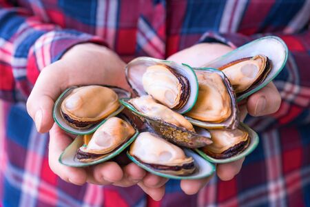 Fresh green mussels in the hands of the girl small depth of field.の写真素材