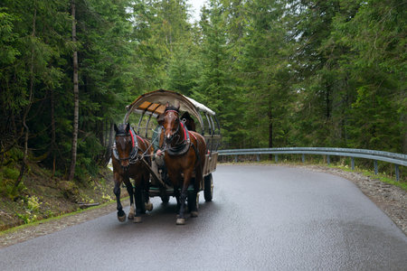 horse wagon pass in the Polish Tatras