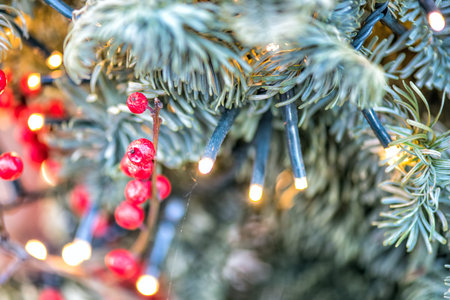 branches of the Christmas tree close-up
