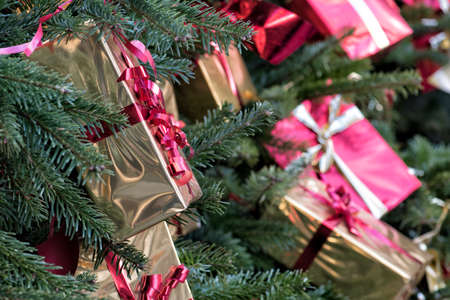 background of a close up of a Christmas tree decorated with tree giftsの写真素材