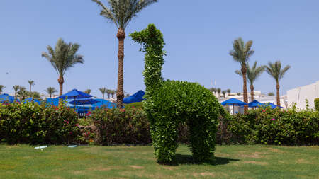 Sharm el sheikh. Egypt September 2021. Renaissance Sharm El Sheikh Golden View Beach Resort. landscape designのeditorial素材