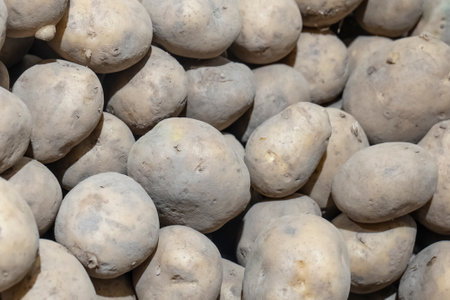 potato background in the market.の写真素材
