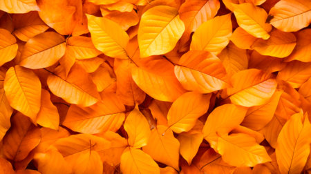 autumn leaves background. Colorful autumn leaves background. Fall background. Generative AI.の写真素材