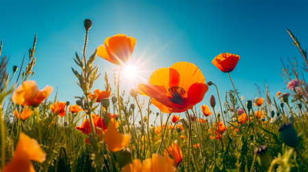 Beautiful poppies in a meadow on a sunny day. Generative AI.の素材