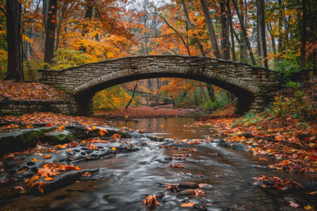 A bridge over a river with leaves on the ground. The bridge is made of stone and is surrounded by trees. The leaves on the ground are orange and brown, giving the scene a warm and peaceful atmosphereの素材