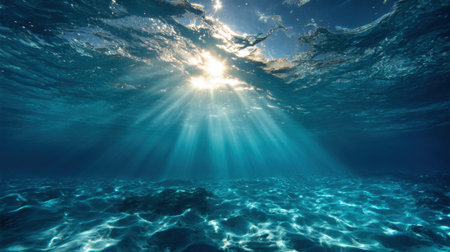 Bright sunlight penetrates the water illuminating a tranquil underwater scene filled with gentle movement.の素材