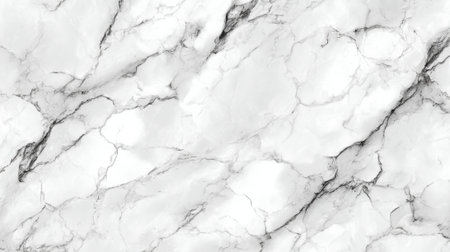 Sophisticated marble surface features intricate gray lines across a bright white background ideal for creative projects.の素材