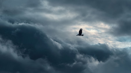 A bird glides gracefully amidst dark clouds illuminated by fading light of dusk.の素材