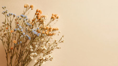 A lovely collection of dried flowers in pastel hues adds warmth and charm to any space.の素材