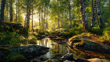 Golden sunlight streams through tall trees reflecting on a gentle stream surrounded by vibrant greenery.の素材