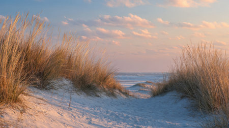 Gentle waves lap against the shore as the sun sets, casting soft colors. Tall grass lines the sandy pathway leading to a peaceful beach scene.の素材