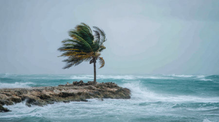 Winds whip through a lone palm tree at the edge of a rocky coastline. Waves crash violently against the shore, creating a dramatic, stormy scene full of natural power.の素材