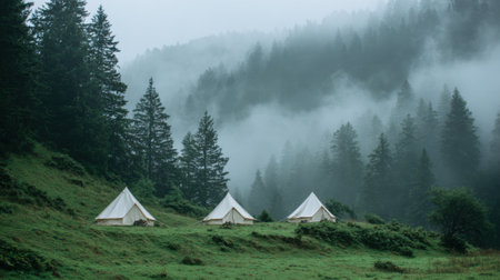 Three tents are set up in a grassy field with a foggy, misty atmosphere. The tents are white and are arranged in a row, with one on the left, one in the middle, and one on the rightの素材