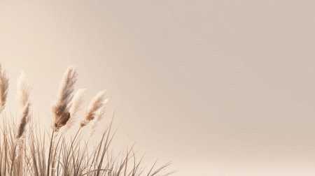 Waves softly lap against the shore while plumes of grass sway in the evening light evoking calmness.の素材