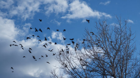 A large group of birds is soaring through the clear blue sky with fluffy clouds scattered. Nearby a bare tree stands adding to the serene natural landscape.の素材