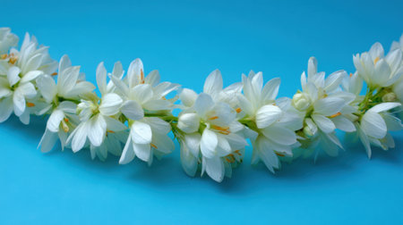 A beautiful arrangement of delicate white flowers creates a striking contrast against a bright blue background. This setup showcases nature's elegance in a simple yet artistic manner.の素材