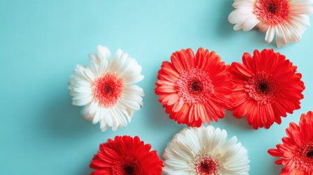 Red and white gerbera daisies are artistically arranged on a light blue background. This colorful composition creates a vibrant atmosphere, perfect for spring-themed decorations and events.の素材