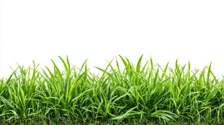 Vibrant green grass stretches across the ground swaying softly in the breeze under clear skies.の素材