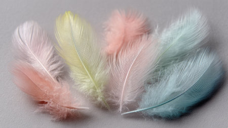 Soft pastel feathers in shades of pink yellow and blue create a serene arrangement on gray.の素材