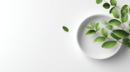 Delicate green leaves rest gently on a smooth white plate capturing a peaceful moment.の素材