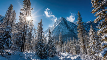 Bright sun shines over a snowy landscape highlighting majestic mountains and tall evergreen trees.の素材