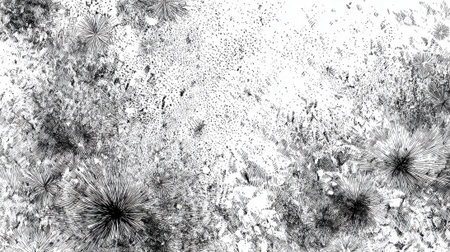 Vibrant patterns and textures dance across a monochrome canvas creating an energetic scene full of movement.の素材