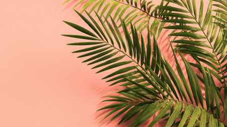 Fresh green palm leaves are displayed against a soft pink background creating a lively and welcoming indoor vibe ideal for decorating and relaxing spaces.の素材