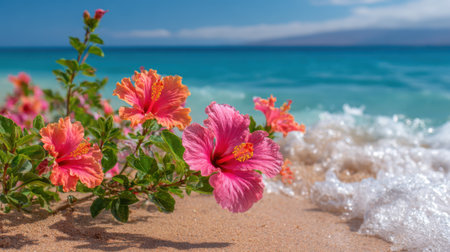 Hibiscus flowers in vibrant pink grow close to the shoreline, with gentle waves lapping against the sandy beach and a bright blue sky in the background.の素材