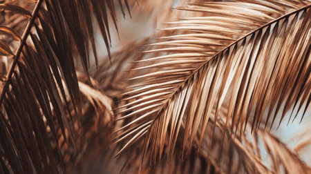 Sunlight filters through brown palm leaves, highlighting their texture and color in a tropical scene. The warm atmosphere evokes a serene, natural environment.の素材