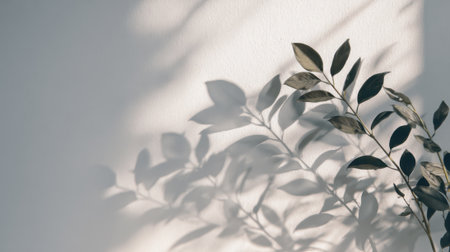 Soft shadows of leaf shapes dance across a light wall creating a serene ambience in a bright indoor space during the afternoon sun.の素材