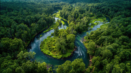 A river meanders through a vibrant green forest, reflecting sunlight on its surface. Dense trees and a small island create a peaceful and serene atmosphere, perfect for nature lovers.の素材