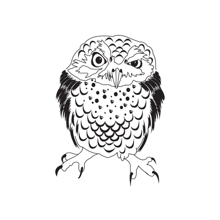 Hand drawn black white illustration owl fly bird. Art Coloring book owl . Cute sitting Owl black and white sketch with floral ornament . Bird owl. Boho owl. Tribal owl. Wallpaper owl. Illustration owlのイラスト素材