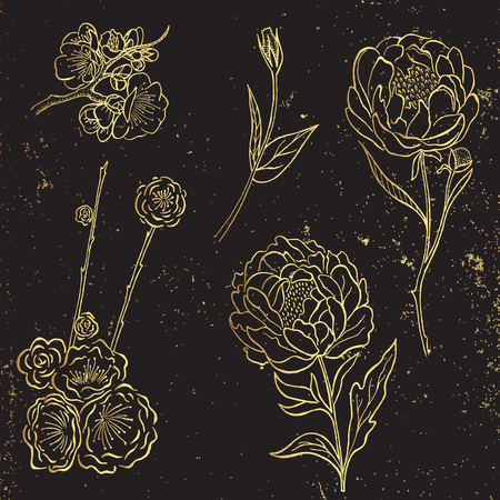 Vector collection of gold hand drawn peony and rose flowers and leavesのイラスト素材