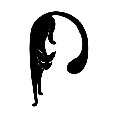 Mystical Black cat on white background.のイラスト素材