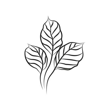 Leaf logo design, vector natural concept inspiration, leaf icon. Leavesのイラスト素材