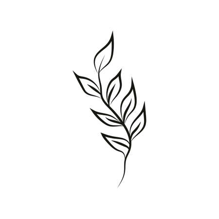 Leaf logo design, vector natural concept inspiration, leaf icon. Leavesのイラスト素材