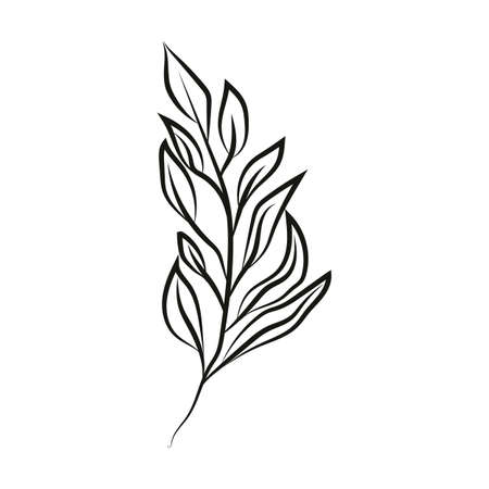 Leaf logo design, vector natural concept inspiration, leaf icon. Leavesのイラスト素材