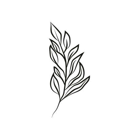 Leaf logo design, vector natural concept inspiration, leaf icon. Leavesのイラスト素材