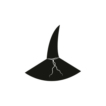 Witch Hat for Halloween. Old black hat. Isolated Witch hat.のイラスト素材