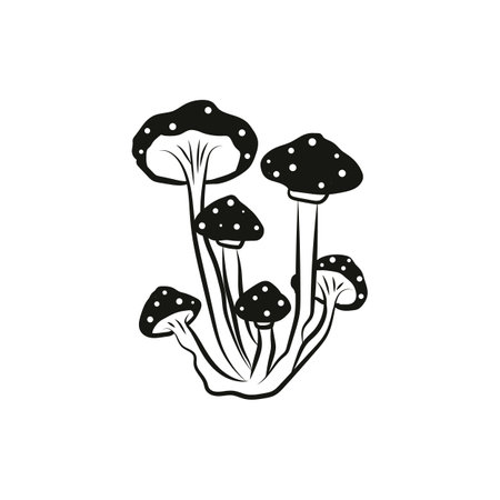 Mystical mushrooms isolated clipart, magic line. Mystical elements.のイラスト素材