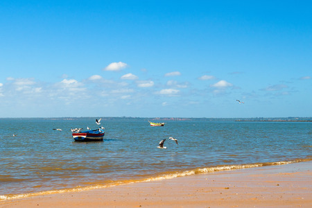 Boats of fishermen on the Indian Ocean in Maputo Mozambique Africaの写真素材