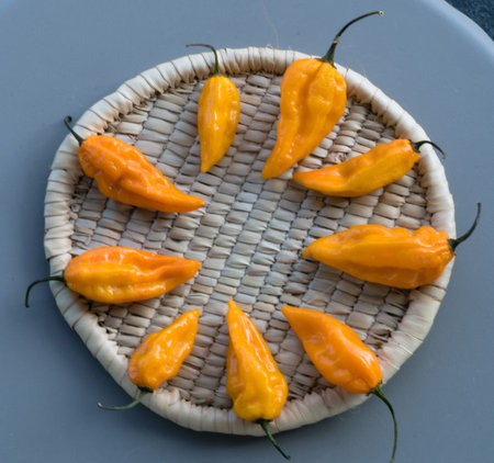 Hot African Pepper Fatali
