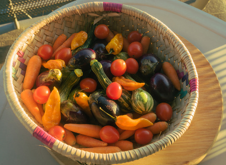 Seasonal mini vegetables in a basketの写真素材
