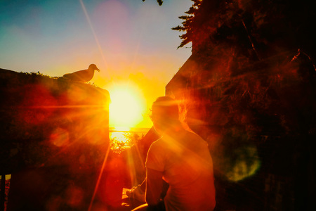 The girl and the seagull watch the sun go down.の写真素材