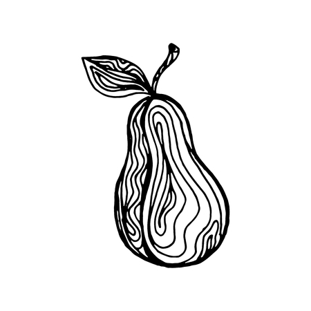 Black ink hand drawn sketch, pear fruit isolated on a white background. Vector illustrationのイラスト素材