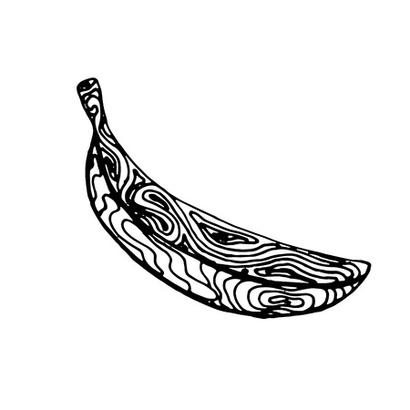 Black ink sketch of banana isolated on a white background. Vector illustration のイラスト素材