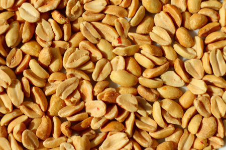 Peeled roasted peanuts texture.