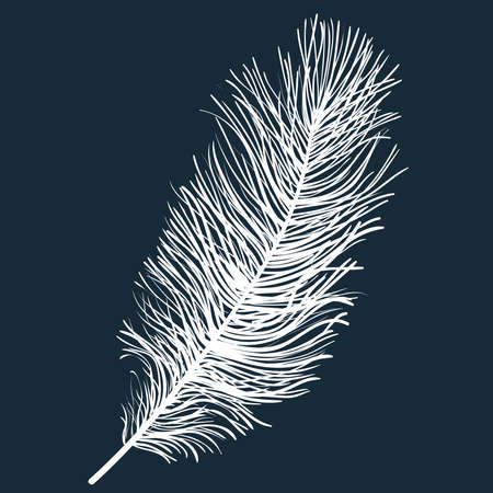 White fluffy light feather isolated on a dark background. Realistic hand drawn vector illustrationのイラスト素材