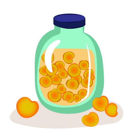 Jar of peach compote. Homemade canned apricots. Fruit juice. Isolated vector illustration.のイラスト素材